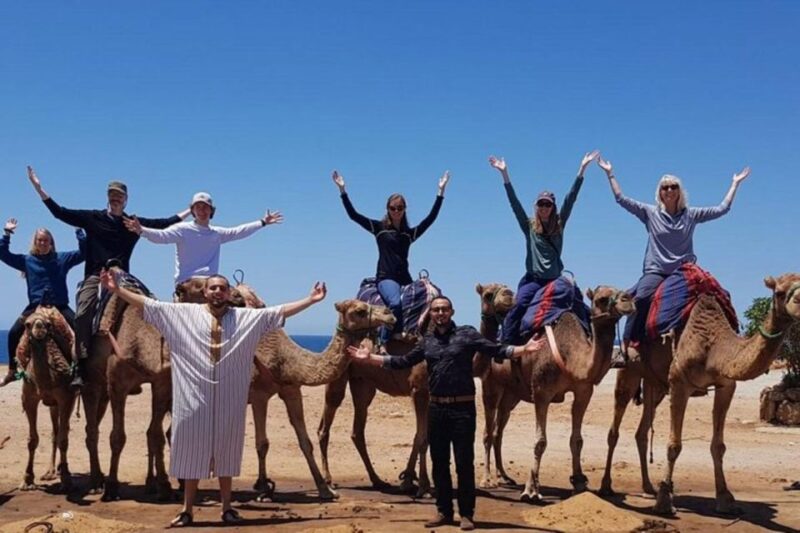 Full Day Tour in Tangier - Transportation and Amenities