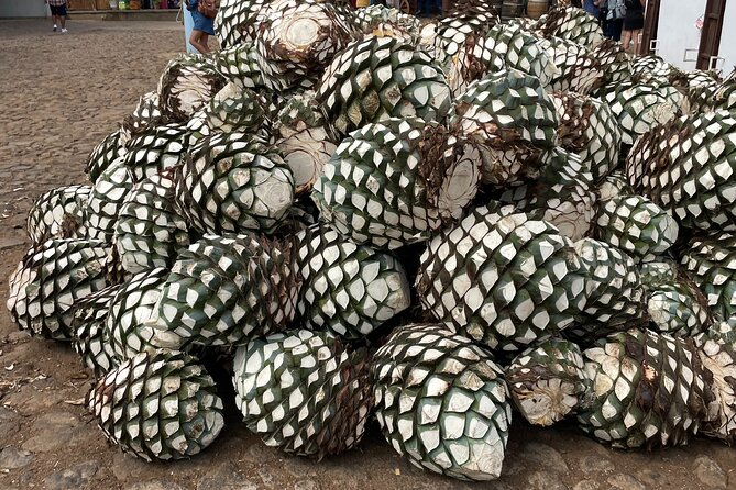 Full-Day Tour in Tequila Factory and Cantaritos El Gúero - Cancellation Policy