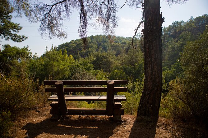 Full Day Tour in Troodos Mountains: Villages & Waterfalls - Transportation Comforts
