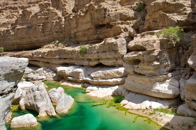 Full Day Tour in Wadi Shab - Inclusions