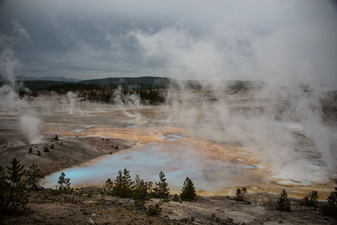 Full-Day Tour in Yellowstone National Park - What to Expect