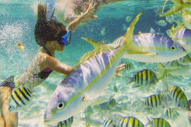 Full-Day Tour Isla Bonita Deluxe - Tour Duration and Highlights