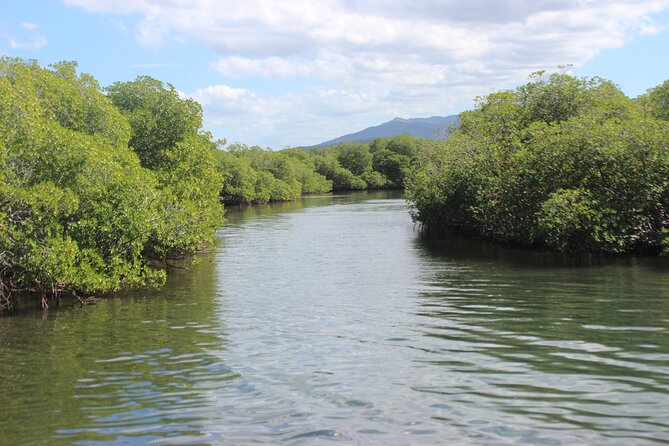 Full-Day Tour Isla Bonita Deluxe - Advantages of Private Booking