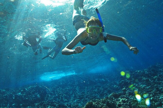 Full Day Tour Isla Marietas With Meals and Open Bar - Recommendations for Future Travelers
