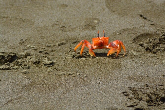 Full Day Tour Isla Salango Snorkel Seabirds From Guayaquil - Exploring the Wonders of Guayaquil