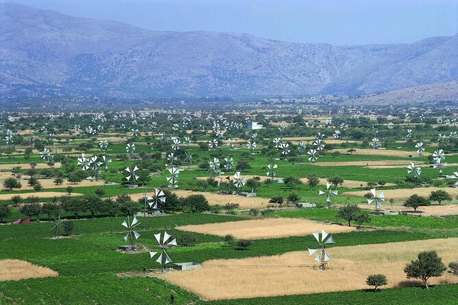Full Day Tour Knossos Palace,Zeus Cave,Lasithi&Olive Oil Factory - Pickup and Meeting Details