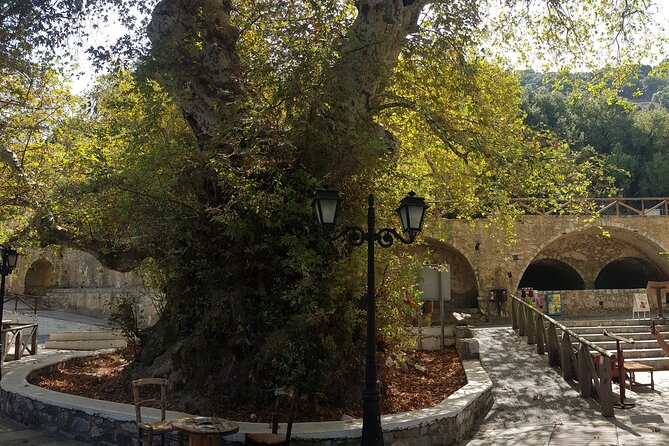 Full Day Tour Knossos Palace,Zeus Cave,Lasithi&Olive Oil Factory - Olive Oil Factory Tour