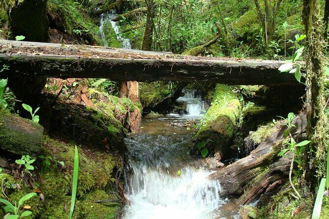 Full-Day Tour Llano Grande Waterfalls and Coffee Plantation in Huatulco! - The Itinerary in Detail