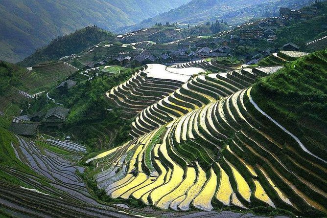 Full-day Tour: Longji Rice Terraces & Minority Villages - Tour Overview