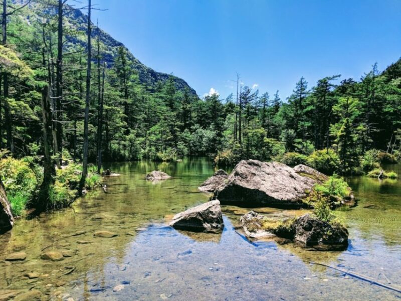 Full-Day Tour: Matsumoto Castle & Kamikochi Alpine Valley - Exploring Matsumoto Castle