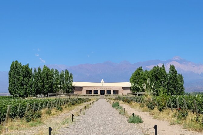 Full Day Tour Mendoza Wineries in the Uco Valley - Tour Overview