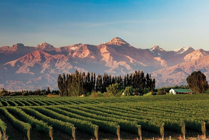 Full Day Tour Mendoza Wineries in the Uco Valley - Pickup Information