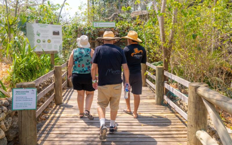 Full-Day Tour - National Aviary and Playa Blanca + Plankton - Key Points