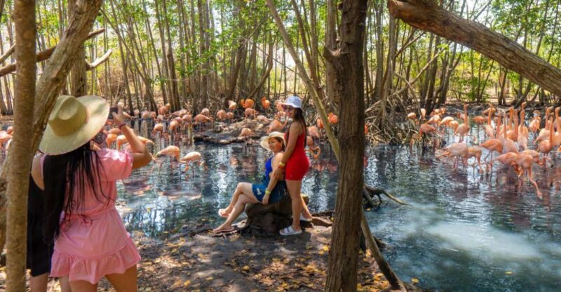 Full-Day Tour - National Aviary and Playa Blanca + Plankton - Transportation Details