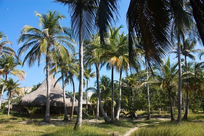 Full Day Tour of 5 Must-See Places in the Rosario Islands - Key Points