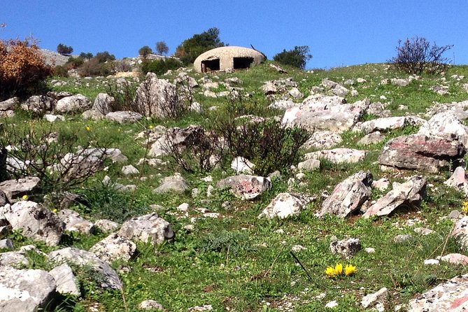 Full-Day Tour of Albania'S Bunkers and Beaches, From Tirana - Traveler Experiences and Feedback