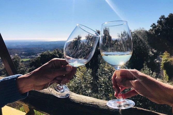 Full-Day Tour of Algarve Wineries From Albufeira - Exploring Algarve Wineries
