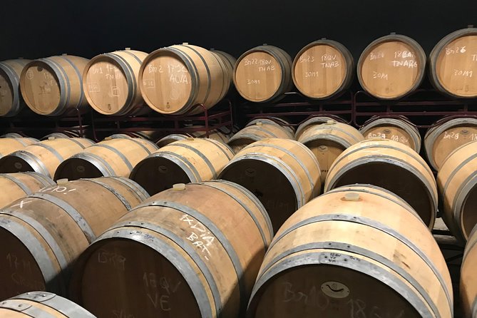 Full-Day Tour of Algarve Wineries From Albufeira - Visiting Silves