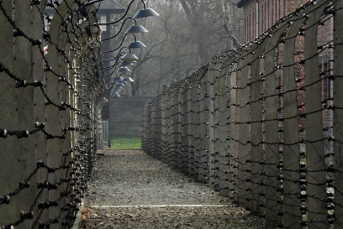Full-Day Tour of Auschwitz-Birkenau and Salt Mine From Krakow - Whats Included
