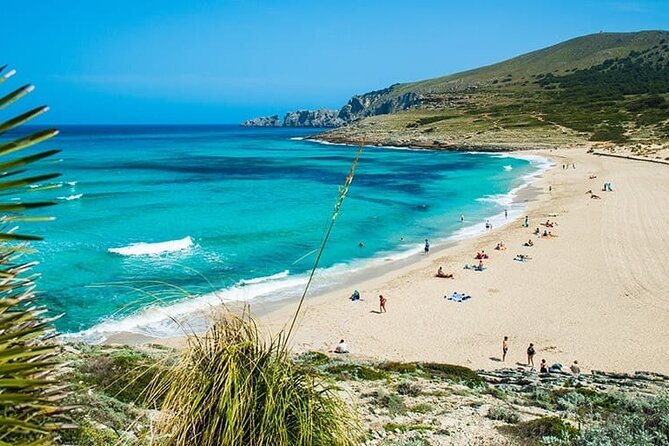 Full-Day Tour of Cala Mesquida, Cala Agulla, and Cala Molto - Key Points