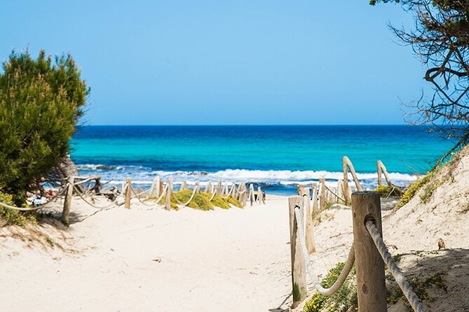 Full-Day Tour of Cala Mesquida, Cala Agulla, and Cala Molto - Customer Feedback