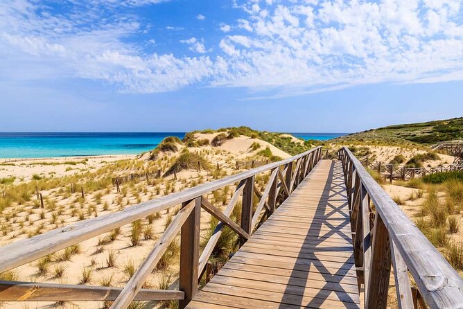 Full-Day Tour of Cala Mesquida, Cala Agulla, and Cala Molto - Accessibility and Operator