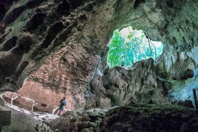 Full-Day Tour of Cayo Levantado and Los Haitises National Park - Meeting and Pickup Information
