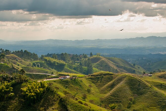 Full Day Tour of Cocora Valley, Salento, and Coffee Farm Tour (from Pereira) - Coffee Tasting Experience