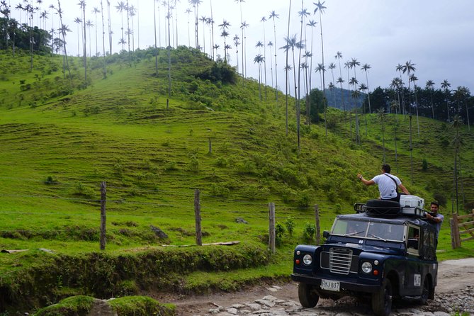 Full Day Tour of Cocora Valley, Salento, and Filandia Coffee Town (from Pereira) - Exploring Cocora Valley