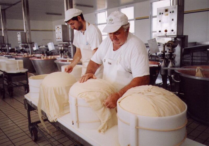 Full Day Tour of Ferrari,Parmesan,Vinegar, Lambrusco W/Lunch - Included Experiences