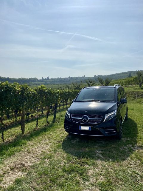 Full Day Tour of Ferrari,Parmesan,Vinegar, Lambrusco W/Lunch - Cheese Factory Visit
