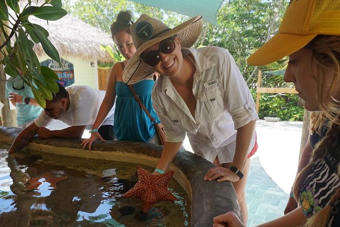 Full-Day Tour of Florida Keys Including Aquarium Encounters From Key West - Transportation Along the Overseas Highway