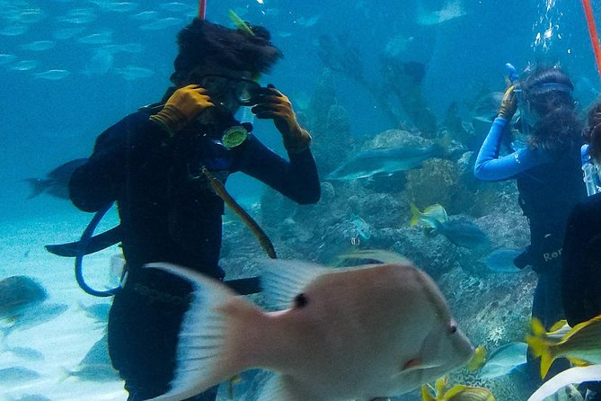 Full-Day Tour of Florida Keys Including Aquarium Encounters From Key West - National Key Deer Refuge