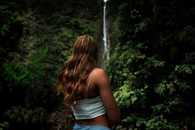 Full Day Tour of Guadeloupe - Key Points