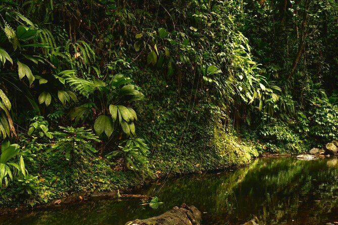 Full Day Tour of Guadeloupe - Frequently Asked Questions (FAQs)