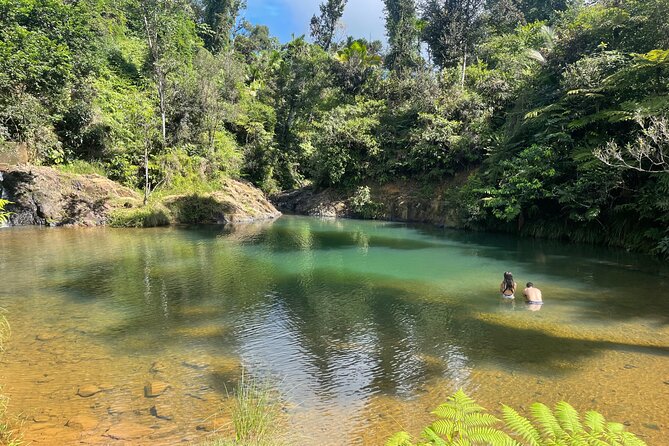Full-Day Tour of Guavate and Charco Azul in Puerto Rico - Nature Adventure