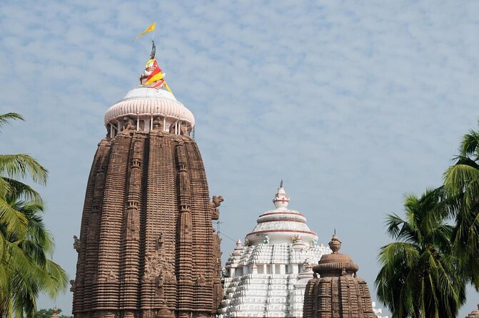Full Day Tour of Konark Temple and Puri - Good To Know