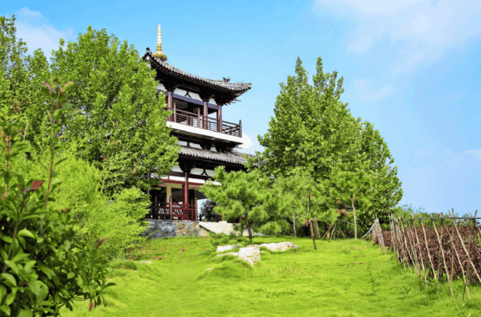 Full-Day Tour of Kyoto and Nara: UNESCO Heritage Highlights - Transportation and Meeting Points