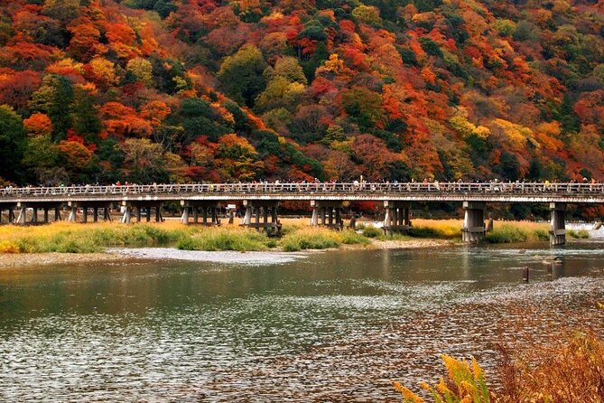 Full Day Tour of Kyoto With Private Transportation - Key Points