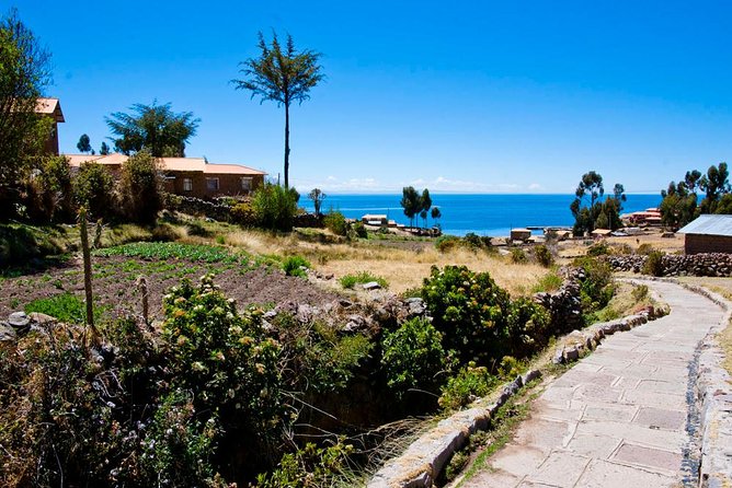 Full Day Tour Of Lake Titicaca And Uros & Taquile - A.m - Health and Safety Considerations
