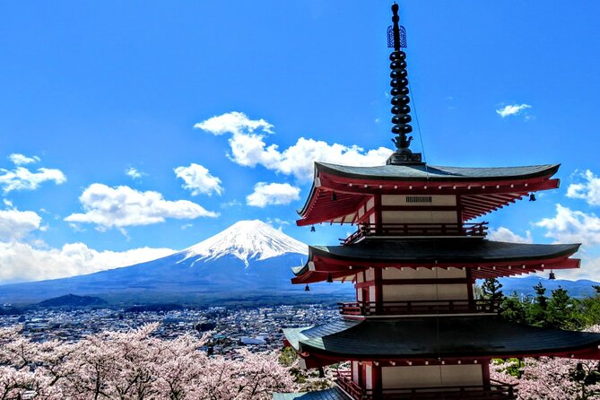 Full Day Tour of Mount Fuji and Hakone From Tokyo - Tour Schedule