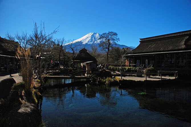 Full Day Tour of Mount Fuji and Hakone From Tokyo - Traveler Experiences
