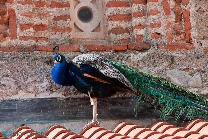Full Day Tour of Ohrid With St Naum From Skopje - Tour Schedule