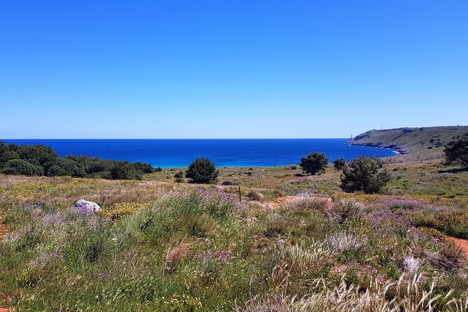 Full Day Tour of Otranto City and Its Amazing Seacoast From Lecce - Additional Reviews