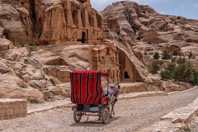 Full-Day Tour of Petra From Eilat - Requirements