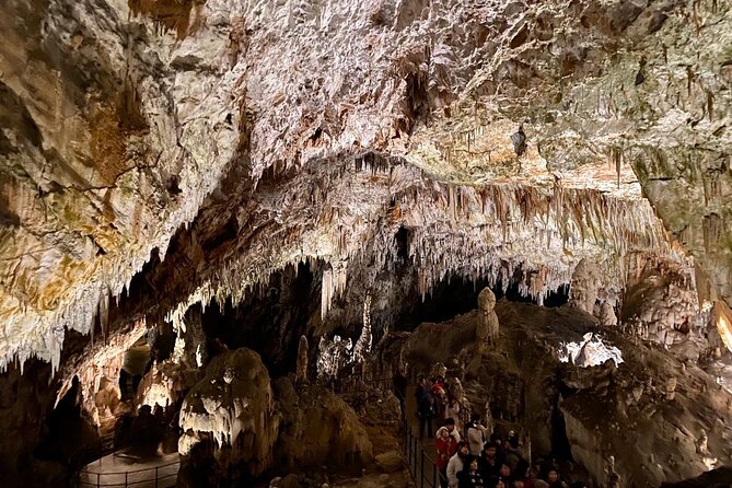 Full-Day Tour of Postojna Cave and Bled Lake From Ljubljana - Exploring Postojna Cave