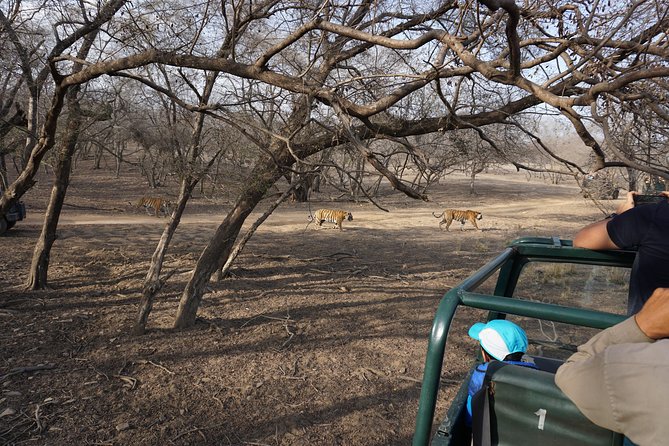 Full-Day Tour of Ranthambore From Jaipur - Booking and Confirmation