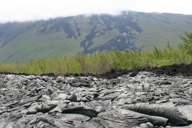 Full Day Tour of Reunion Island With Breakfast - Pickup and Drop-off