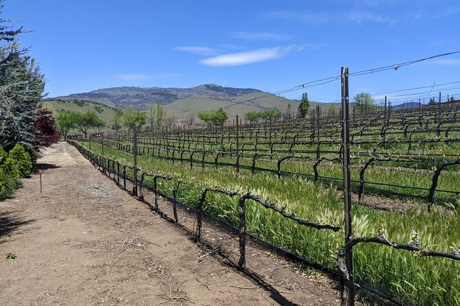 Full-Day Tour of Rogue Valley Wineries - Health and Accessibility
