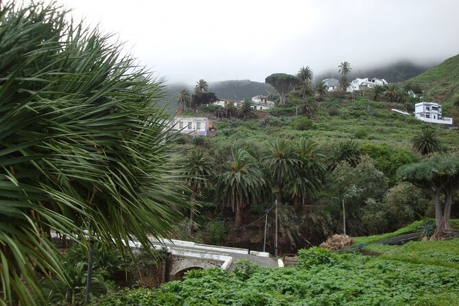 Full Day Tour of Santa Cruz and San Cristóbal De La Laguna - Verified Customer Review Feedback